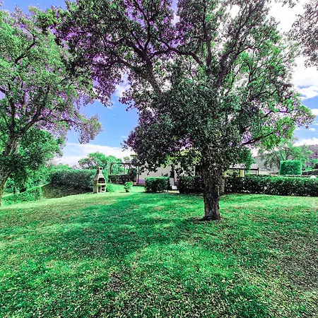 Apartment Le Querce App. Fico