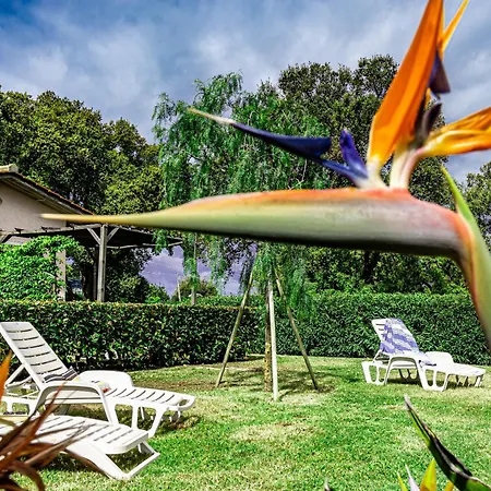 Le Querce App. Fico Capoliveri (Isola d'Elba)