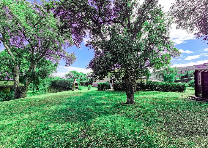 Apartment Le Querce App. Fico