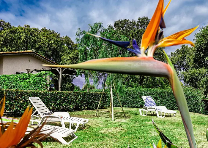 Le Querce App. Fico Capoliveri (Isola d'Elba)